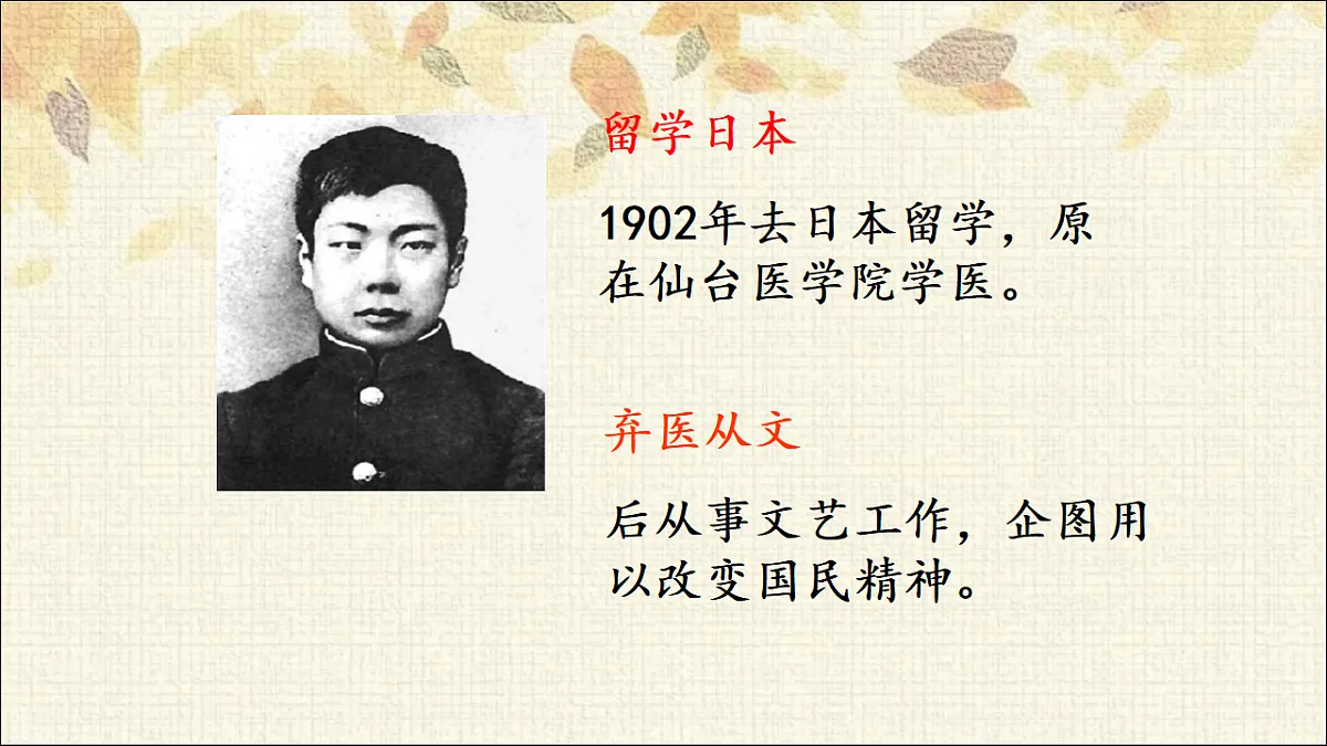 17332112第3页