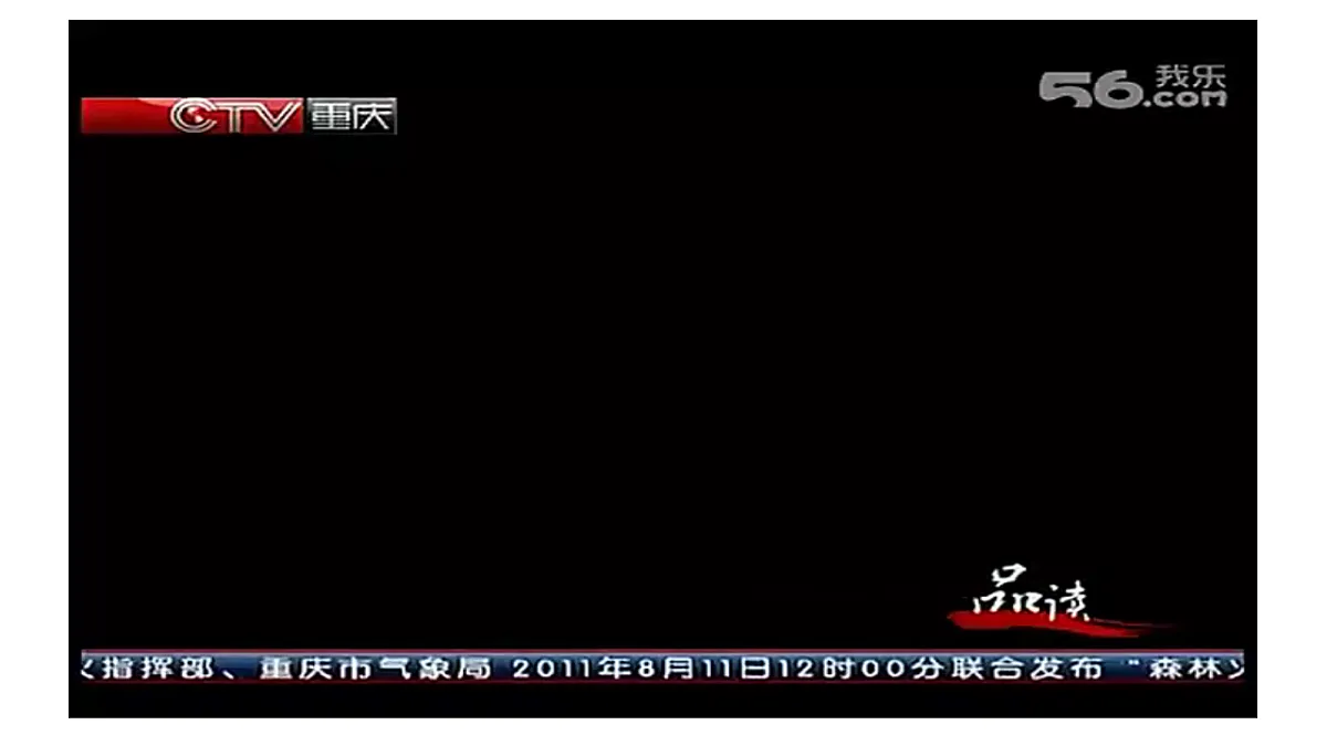 17332113第3页