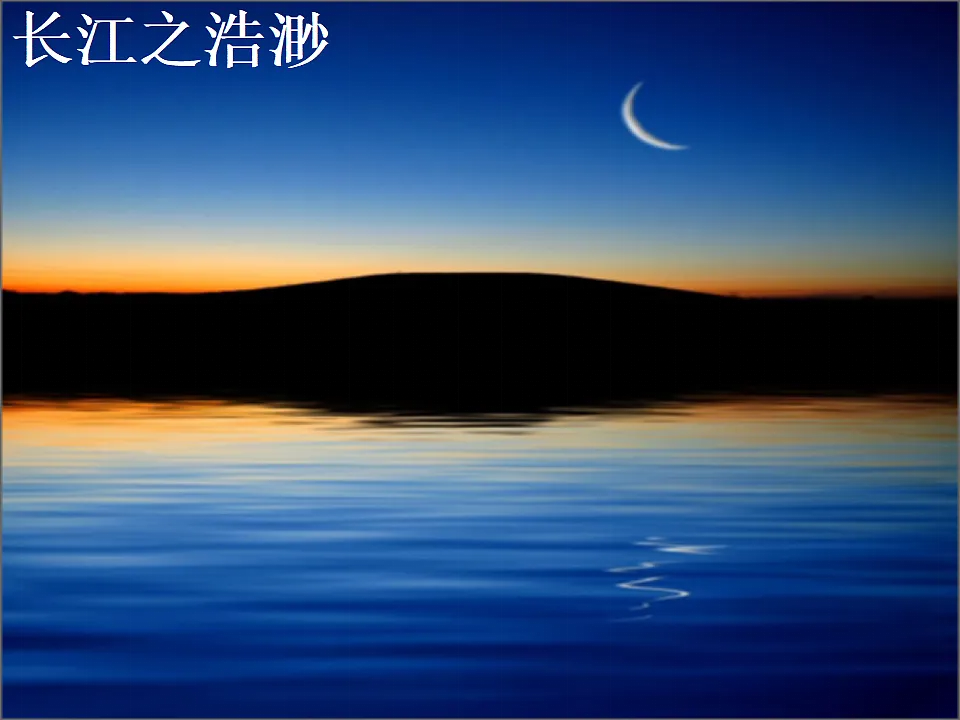 17333209第5页