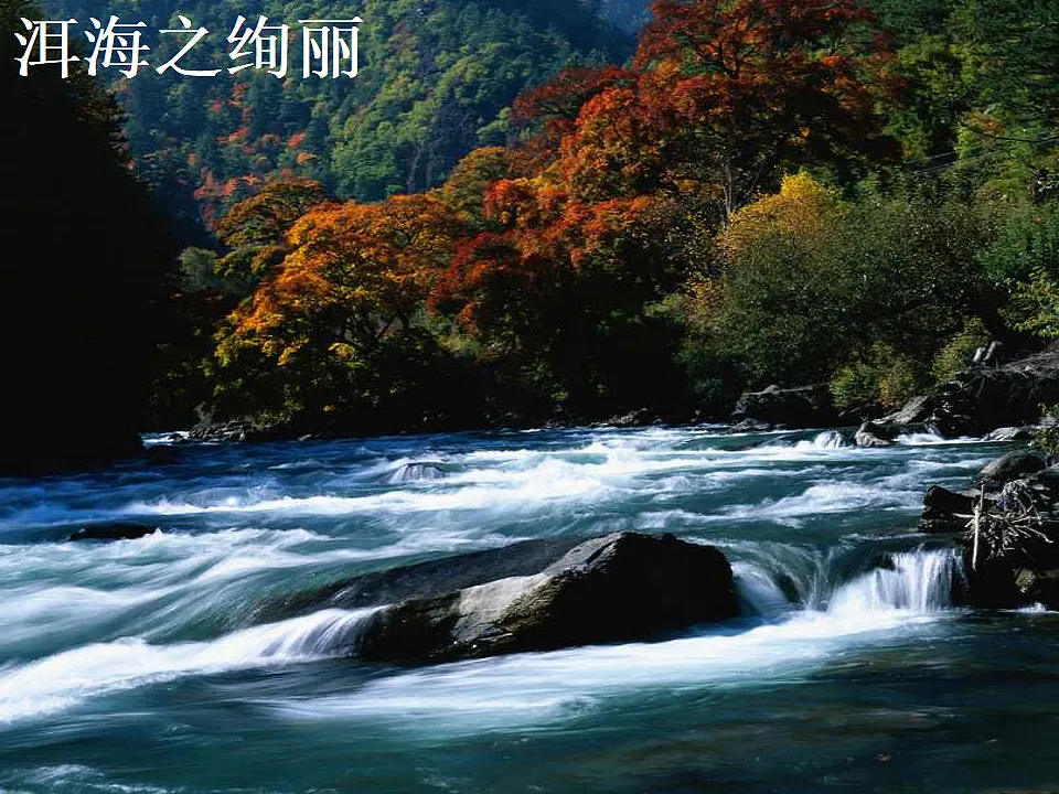 17333209第7页