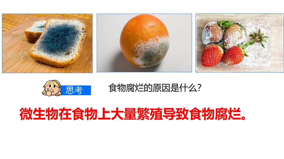 17333486第2页