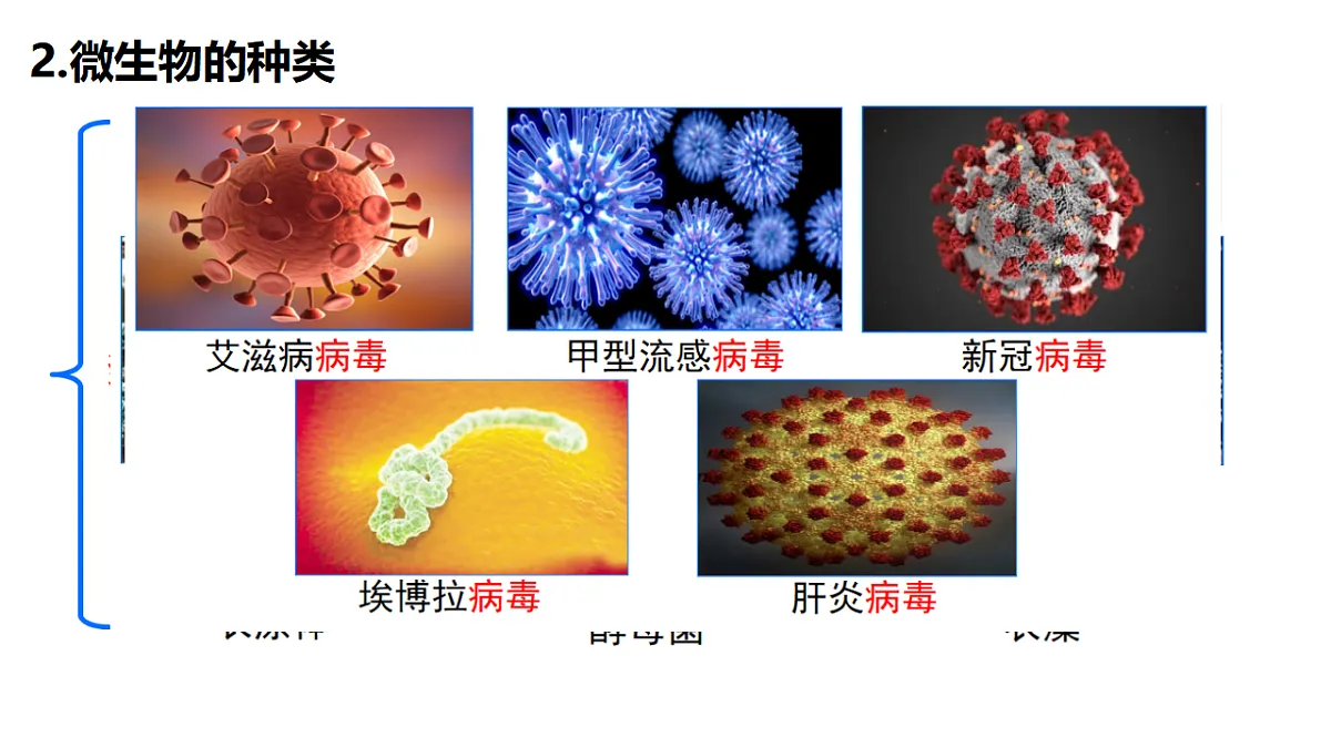 17333486第4页