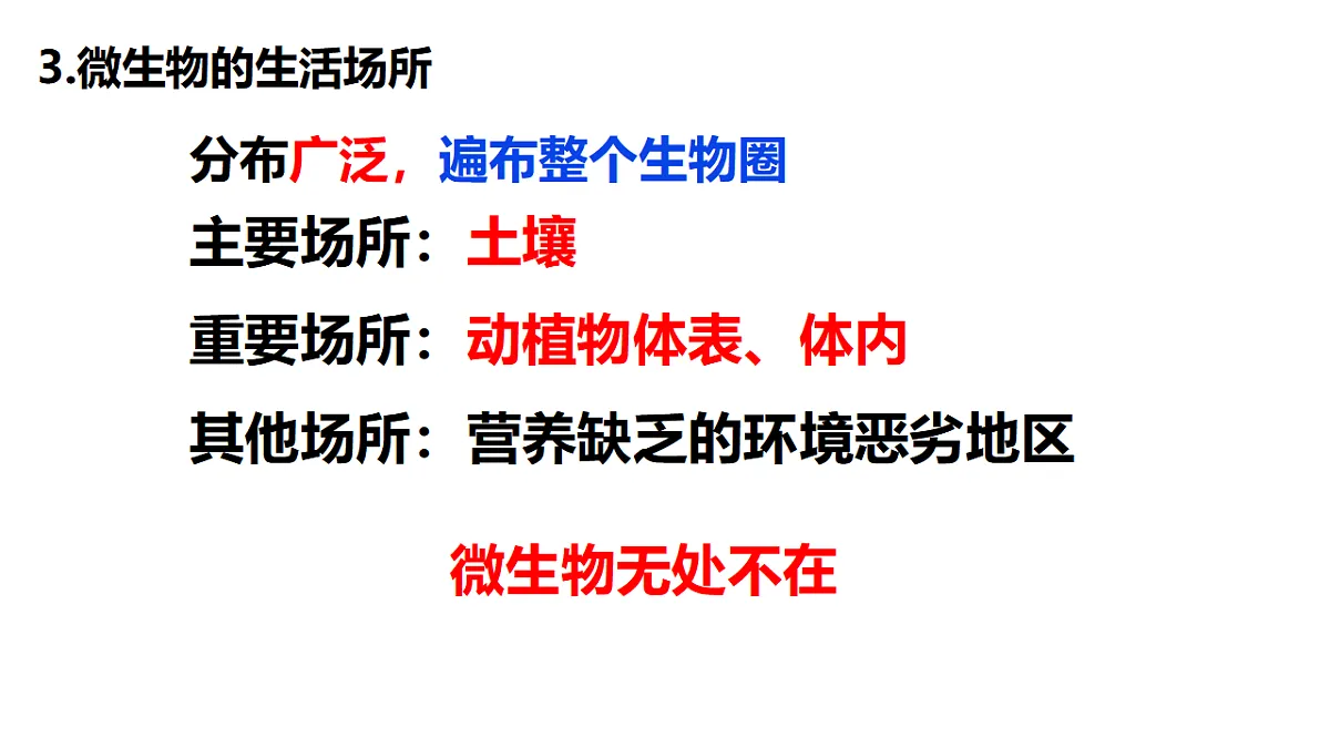 17333486第5页