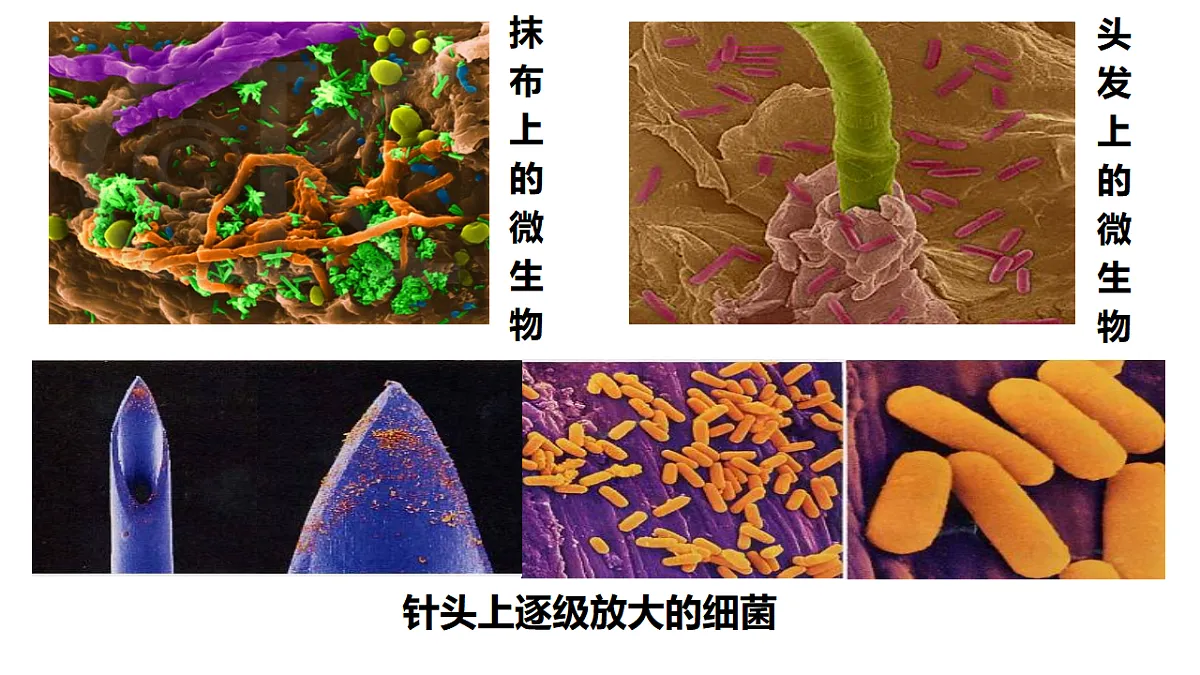 17333486第6页