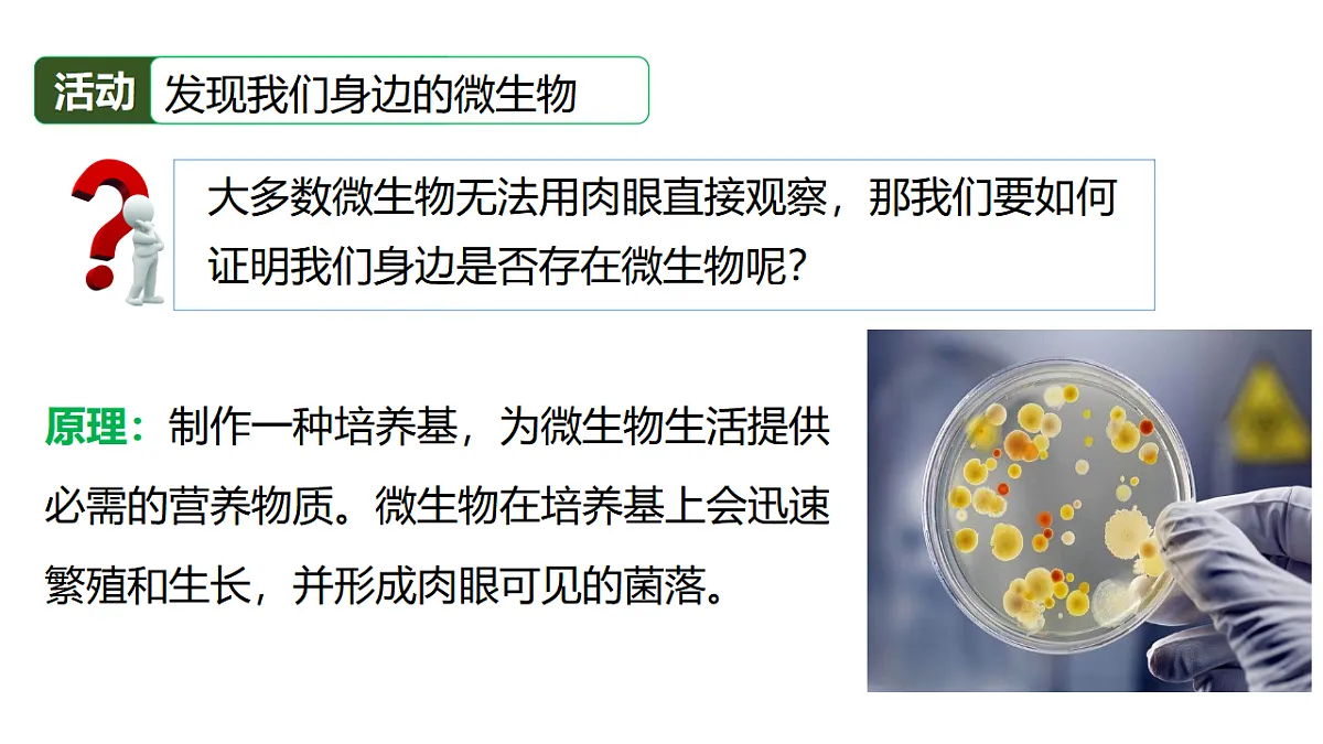 17333486第7页