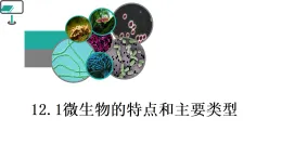 初中  生物  北师大版（2024）  八年级上册（2024）  第5单元12.1 微生物的特点和主要类型 课件