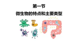 初中  生物  北师大版（2024）  八年级上册（2024）  第5单元12.1 微生物的特点和主要类型 课件