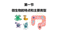 初中微生物的特点和主要类型示范课ppt课件