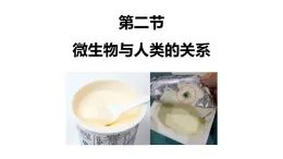 初中  生物  北师大版（2024）  八年级上册（2024）  第5单元12.2 微生物与人类的关系 课件