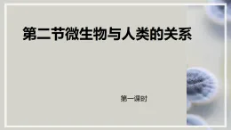 初中  生物  北师大版（2024）  八年级上册（2024）  第5单元12.2 微生物与人类的关系第一课时 课件