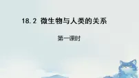 初中北师大版(2024)微生物与人类的关系示范课课件ppt