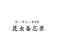 4昆蟲備忘錄課件