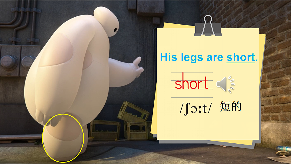 17334094第5页