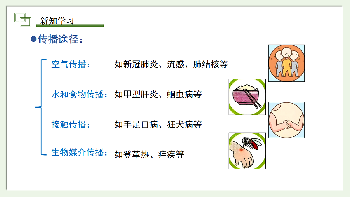 17334377第7页