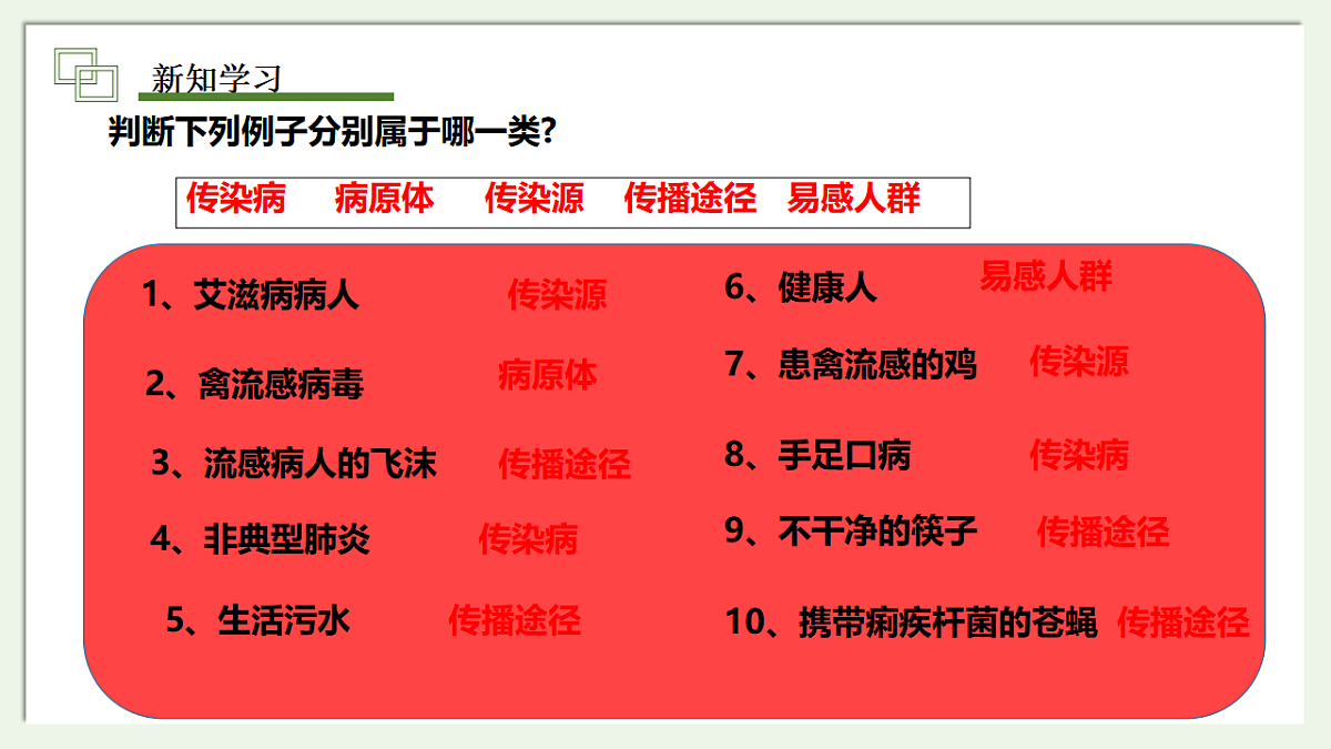 17334377第8页