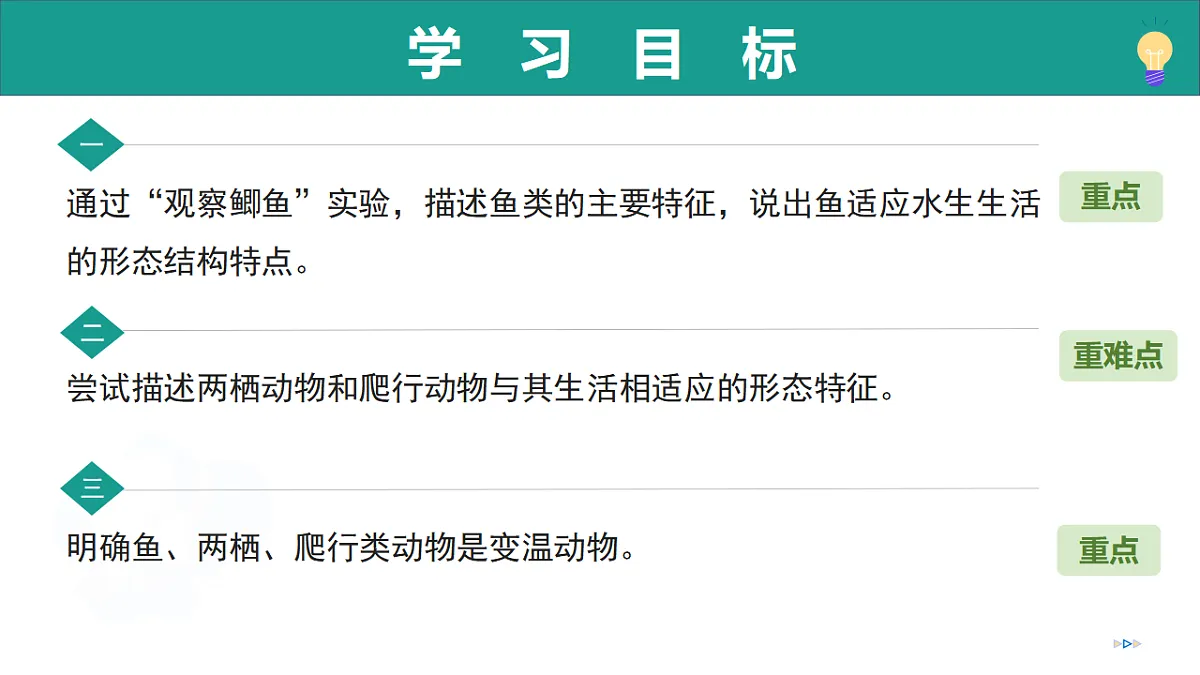 17334488第3页
