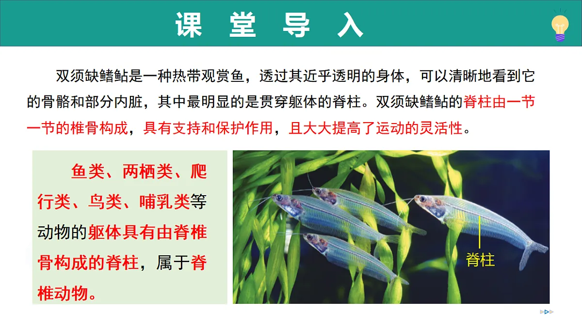 17334488第4页