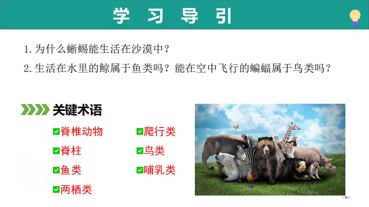 17334488第5页