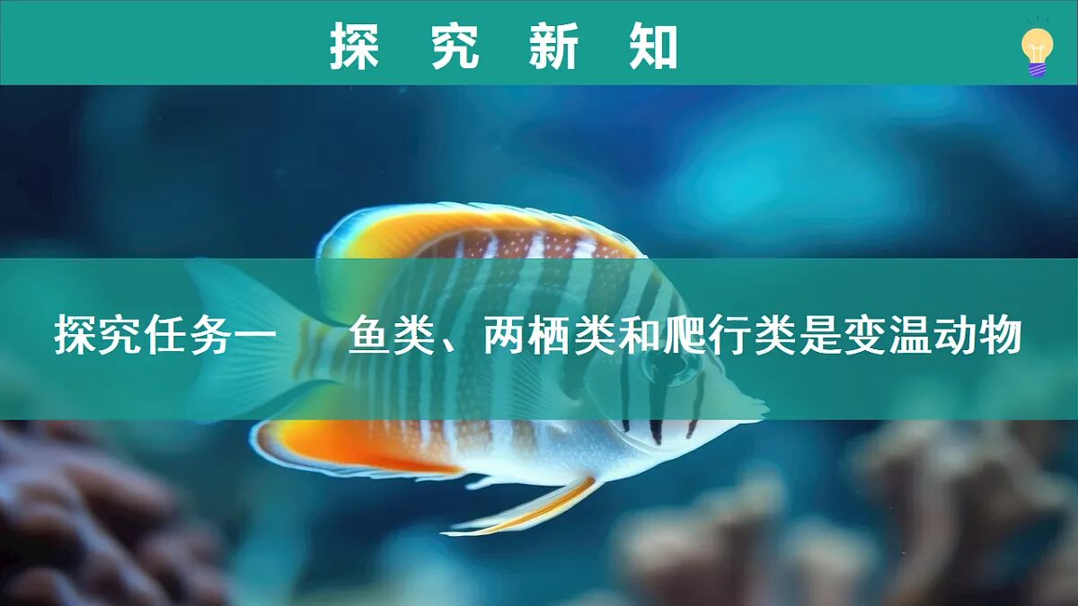 17334488第6页