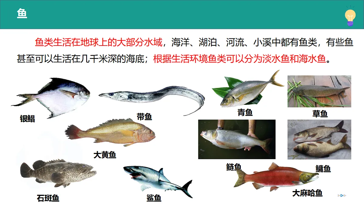 17334488第7页