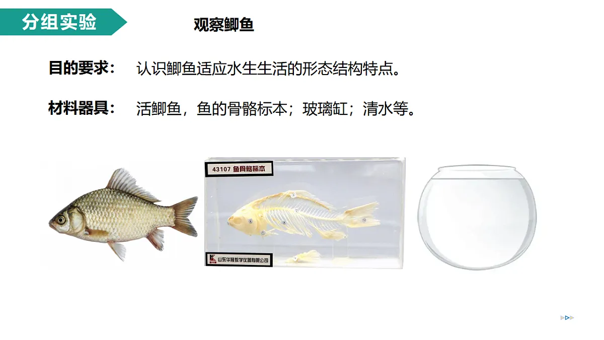 17334488第8页