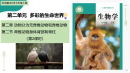 2.2.2 脊椎动物身体背部有脊柱 第2课时（教学课件）-2025-2026学年七年级生物上册（济南版2024）