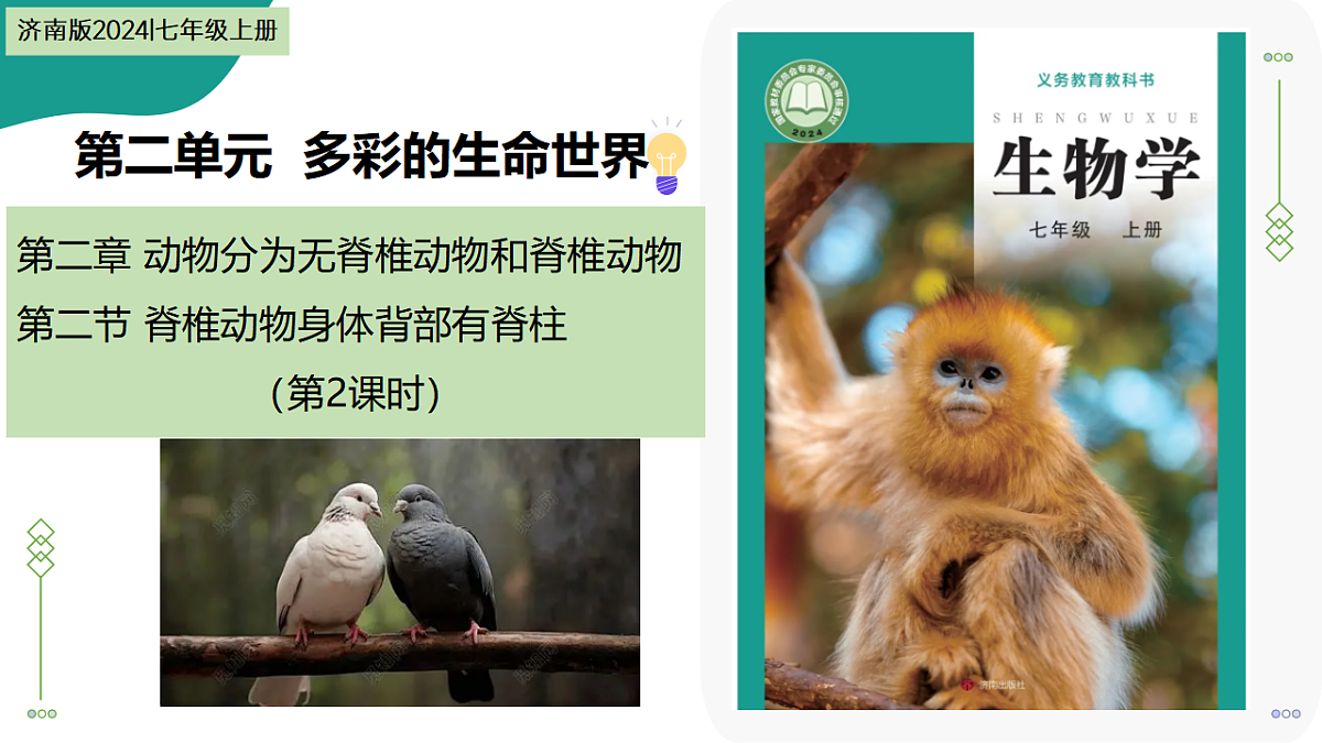 17334489第1页