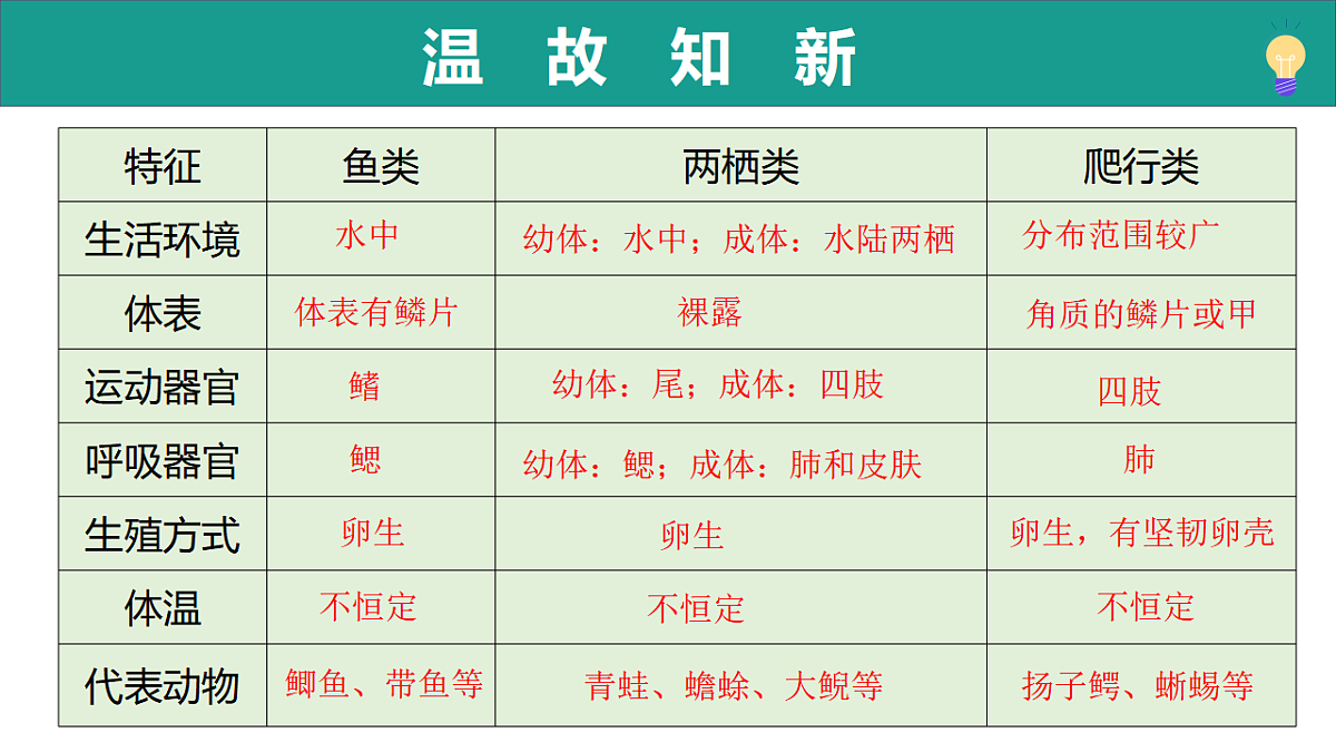 17334489第2页