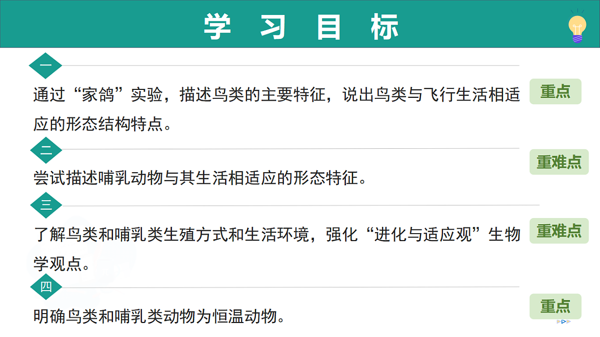 17334489第3页