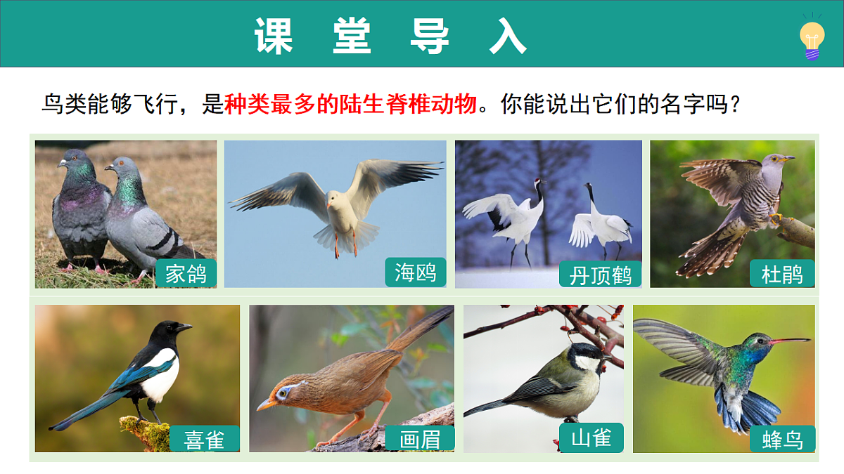 17334489第4页