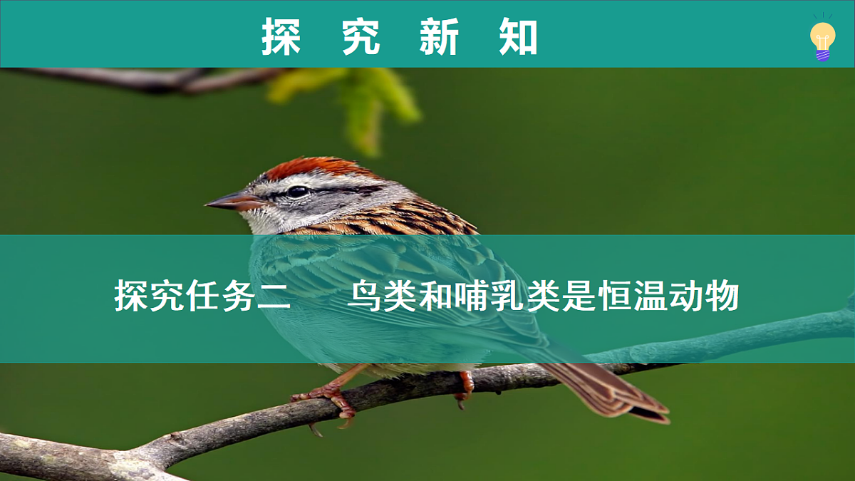 17334489第5页