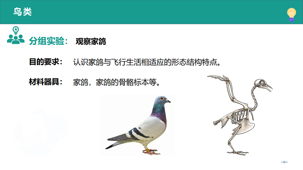 17334489第6页