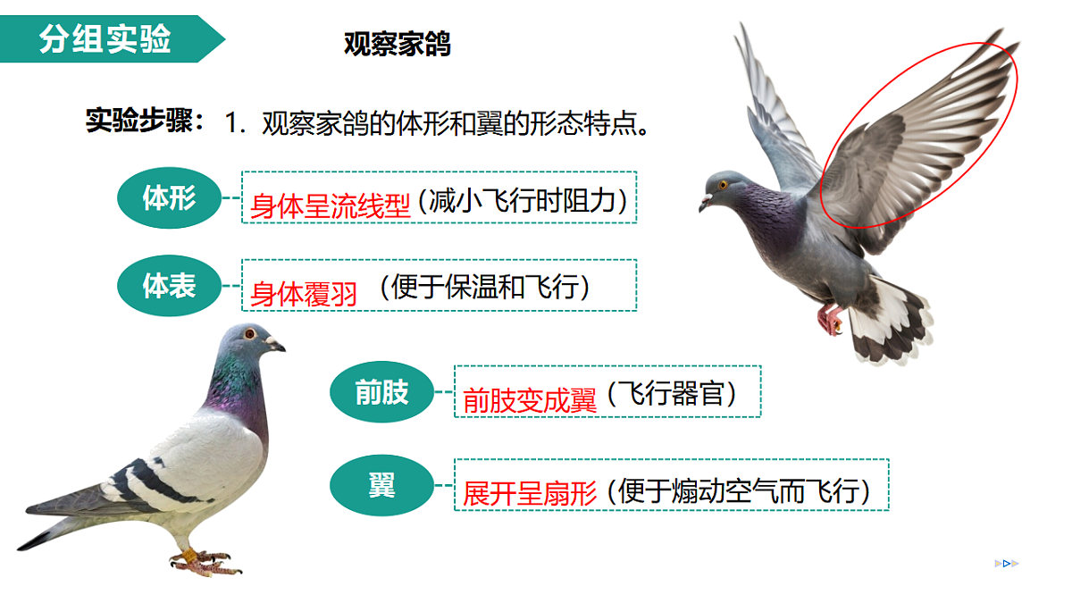 17334489第7页