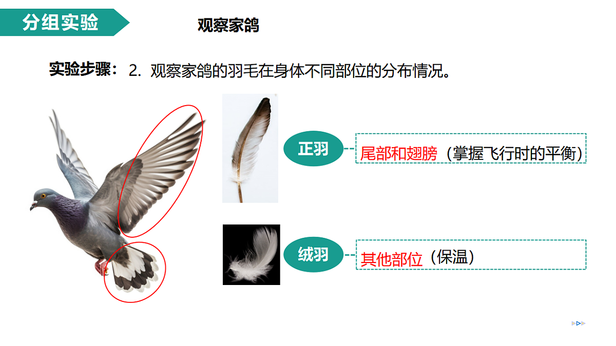 17334489第8页