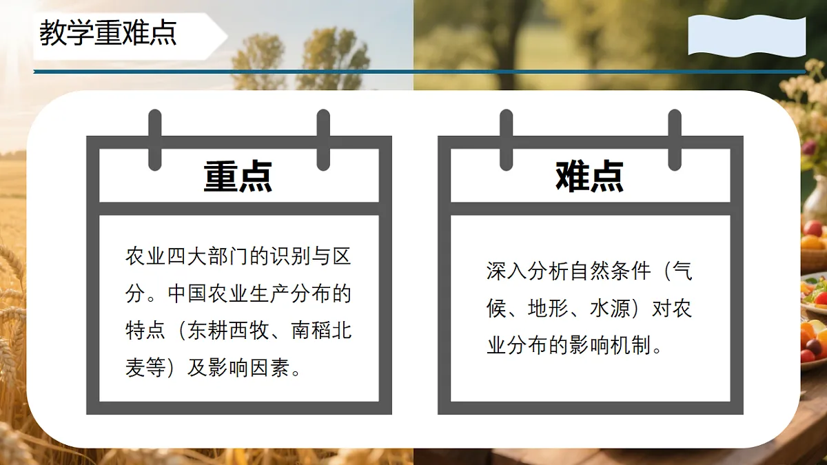 17334493第4页