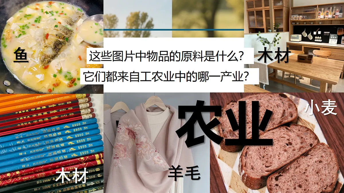 17334493第5页