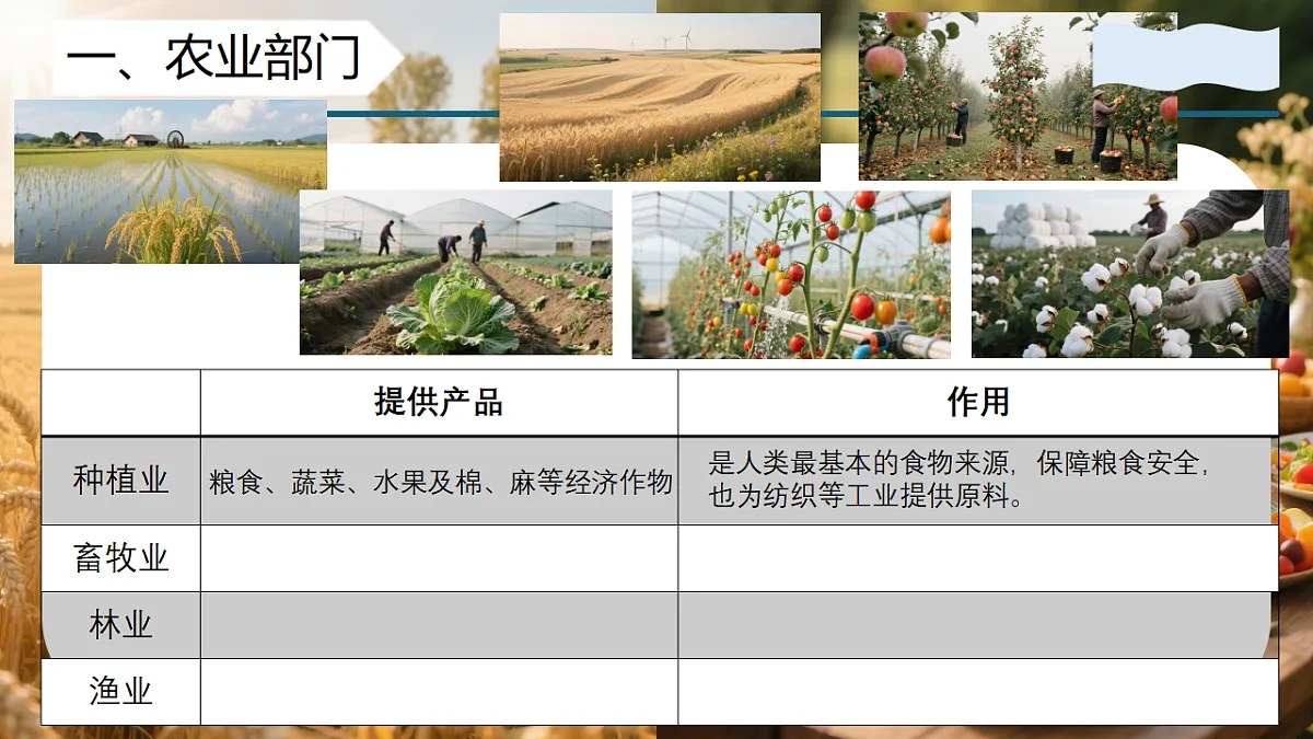 17334493第8页