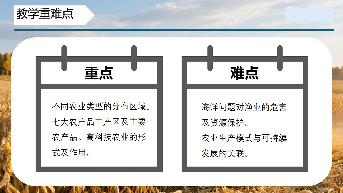 17334494第4页