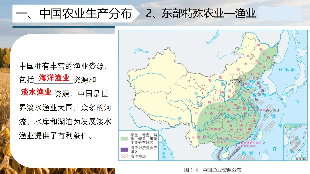 17334494第7页