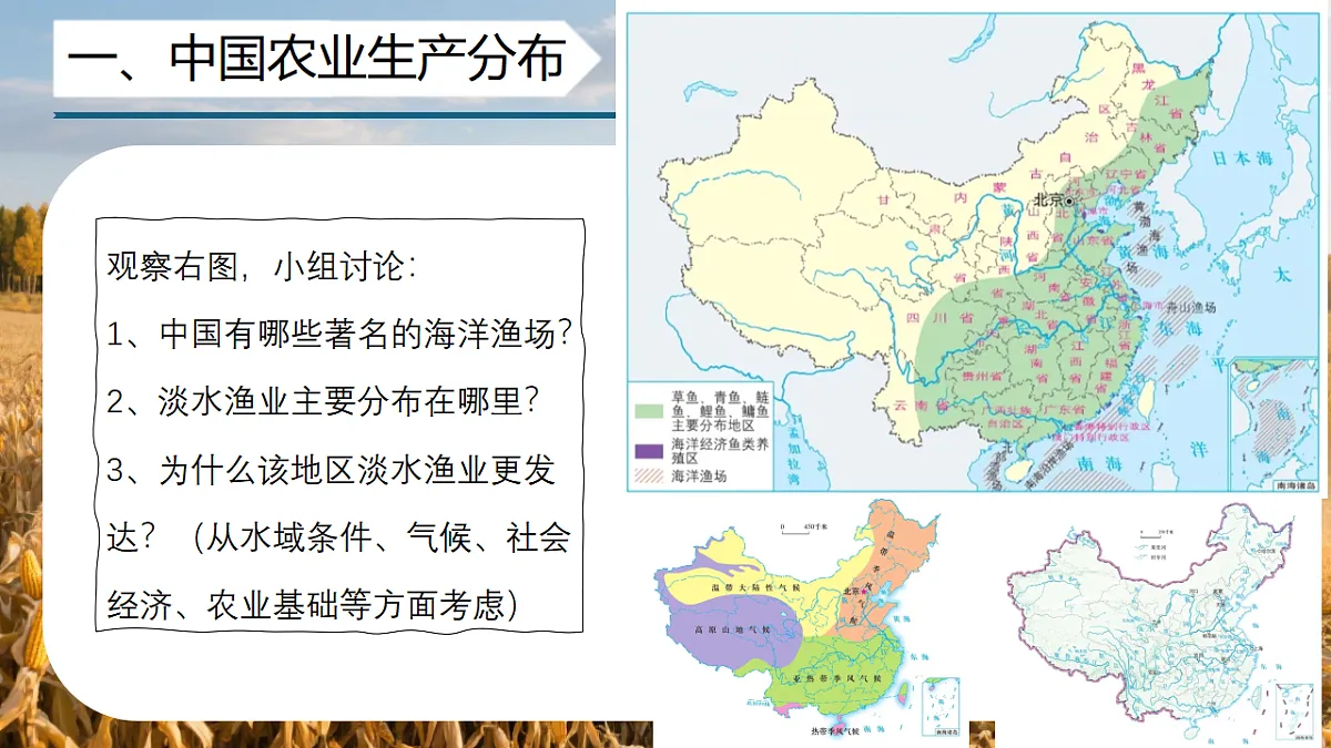 17334494第8页