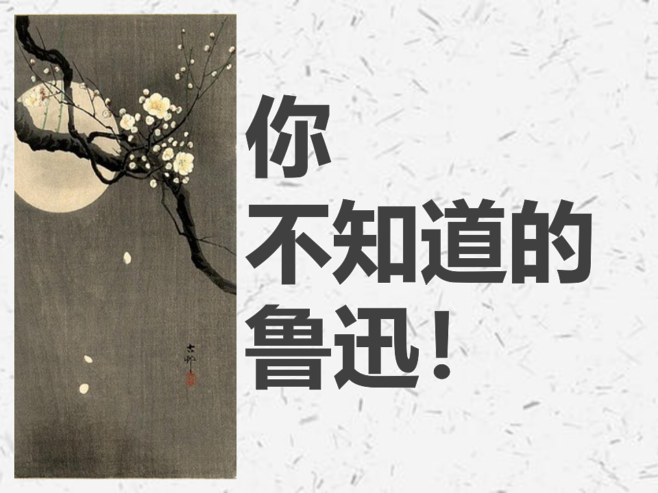 17334503第3页