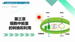 第三章 細胞中能量的轉(zhuǎn)換和利用（復(fù)習(xí)課件）-2025-2026學(xué)年高中生物必修1（蘇教版2019）