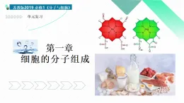 第一章 細胞的分子組成（復(fù)習(xí)課件）-2025-2026學(xué)年高中生物必修1（蘇教版2019）