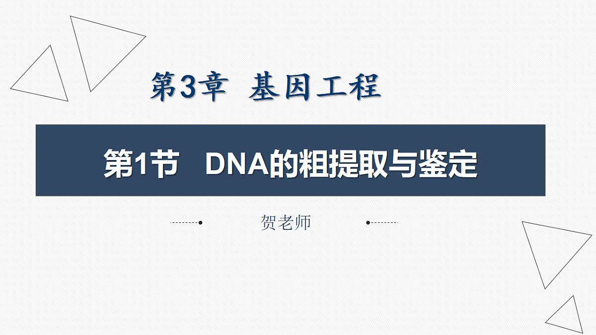 17335265第1页