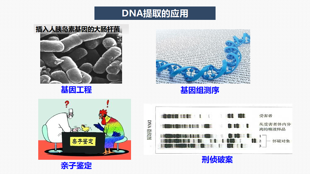 17335265第2页