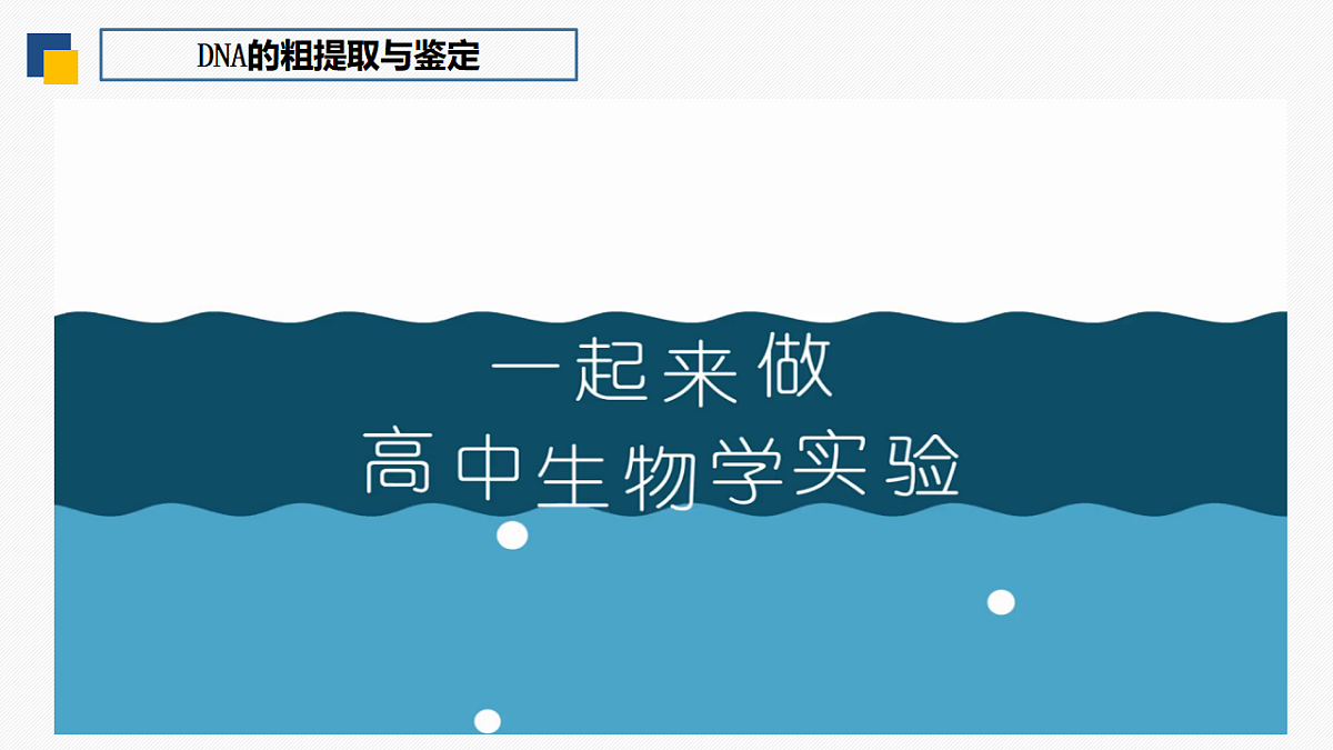 17335265第7页