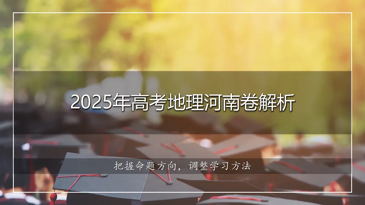 17335293第1页