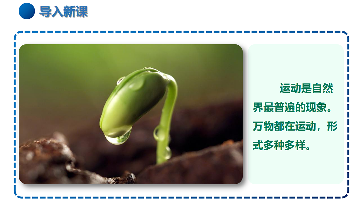 17335524第2页