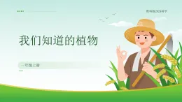 教科版2024科學(xué)一年級上冊 第1課 我們知道的植物-教學(xué)課件