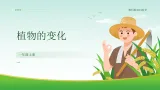 教科版2024科學一年级上册 第5课 植物的变化 -教学課件